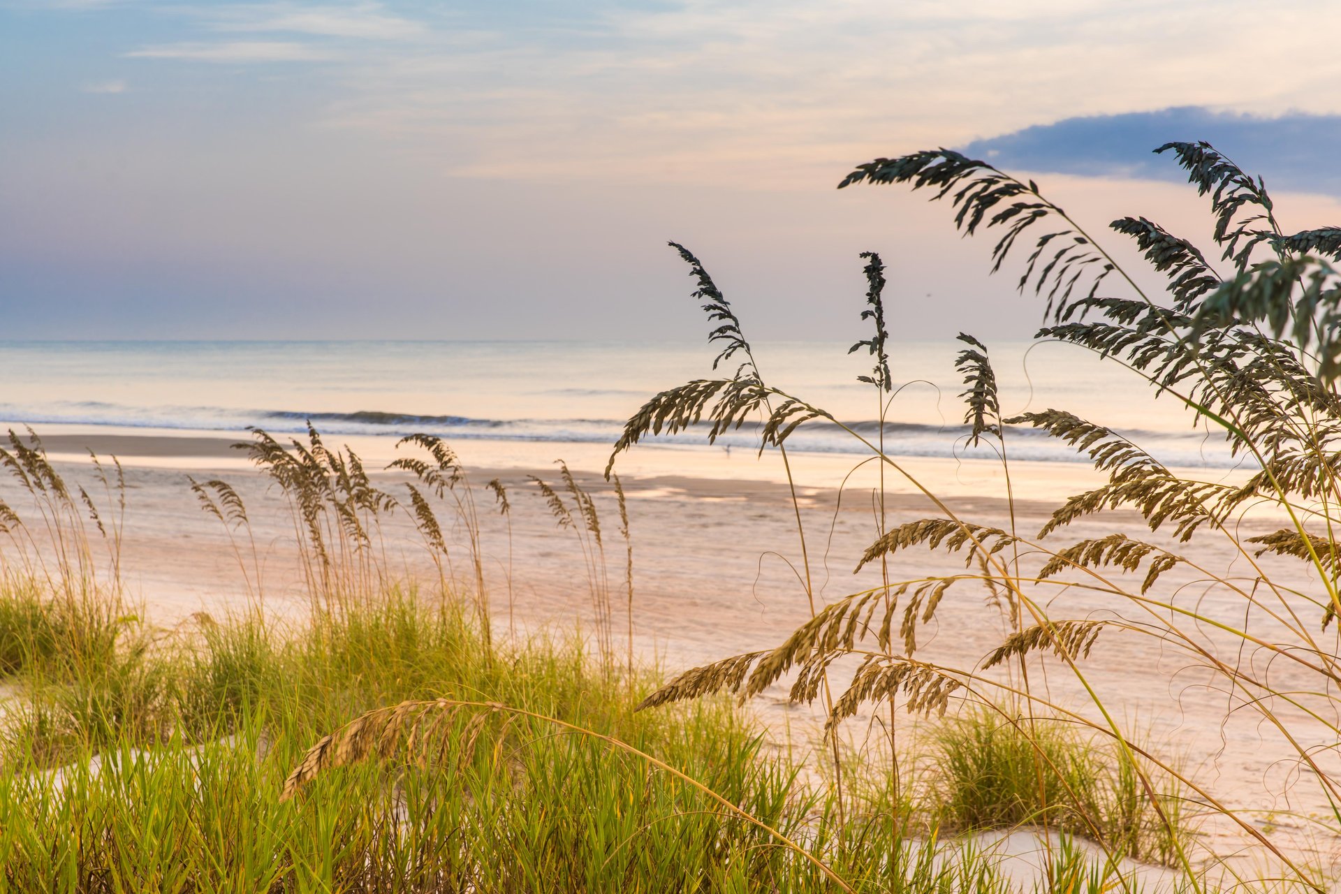 Hero Slideshow image