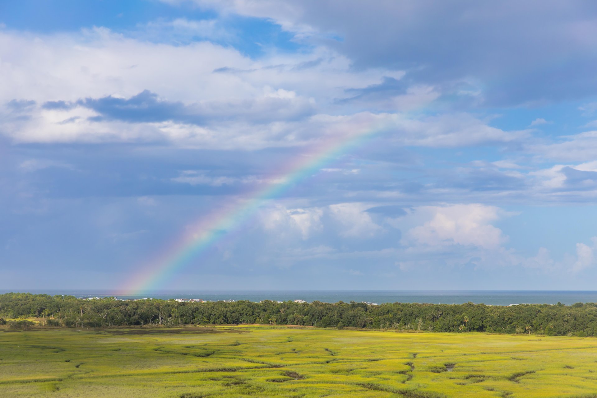 Hero Slideshow image