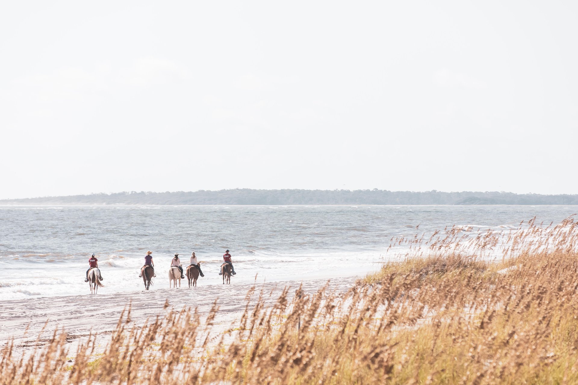 Hero Slideshow image