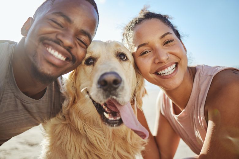 Things To Do https://ameliabestvrr.icnd-cdn.com/images/thingstodo/4B5020D7shutterstock_2250080639.jpg