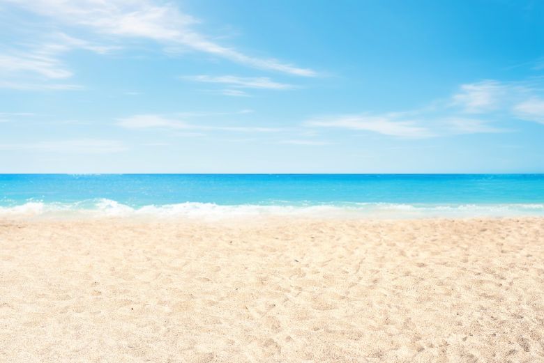 Things To Do https://ameliabestvrr.icnd-cdn.com/images/thingstodo/D0C52C54shutterstock_2459299703.jpg